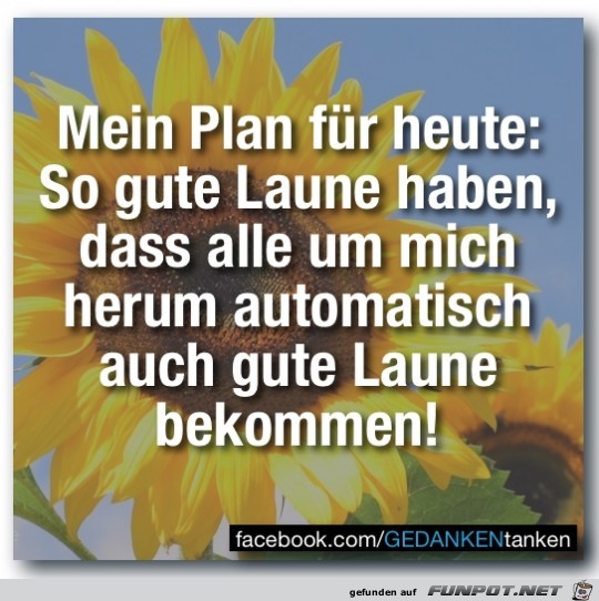 mein plan