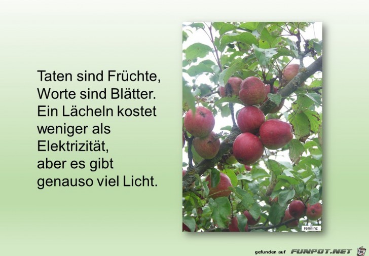 Taten sind Fruechte