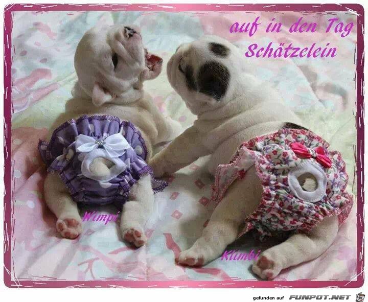 Auf in den Tag Auf in den Tag