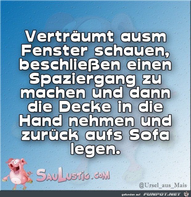 Aus-dem-Fenster-schauen