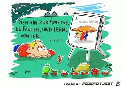 Sprueche 6 6 Sprueche 6 6