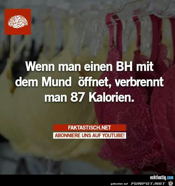 Kalorien Kalorien