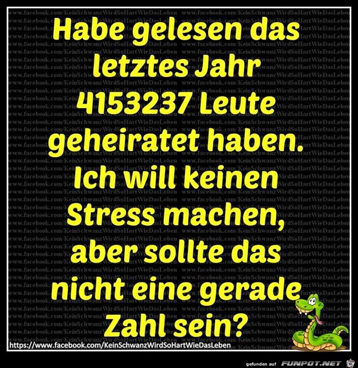 Letztes Jahr geheiratet Letztes Jahr geheiratet