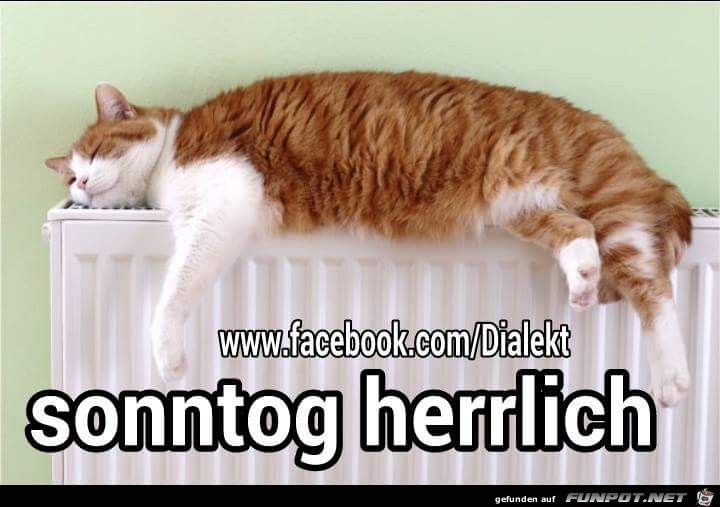 Sonntag Sonntag