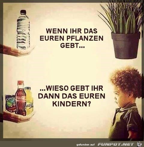 wenn Ihr das Euren Pflanzen gebt... wenn Ihr das Euren Pflanzen gebt...