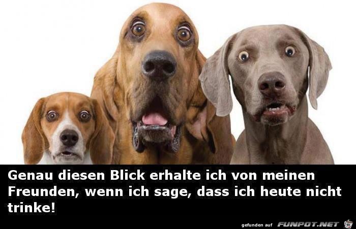 Dieser Blick