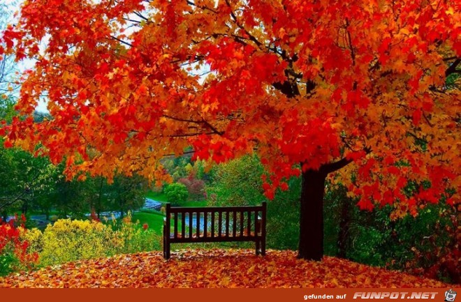 Wunderschoene Herbst-Impressionen 5