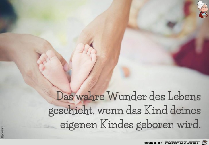 das wahre wunder