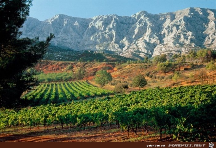 Die schoensten Wein-Gegenden der Welt 37