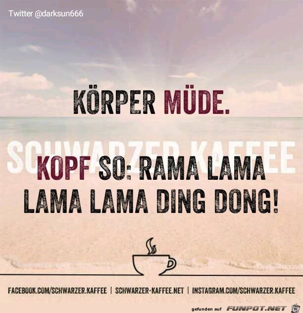 Koerper Koerper