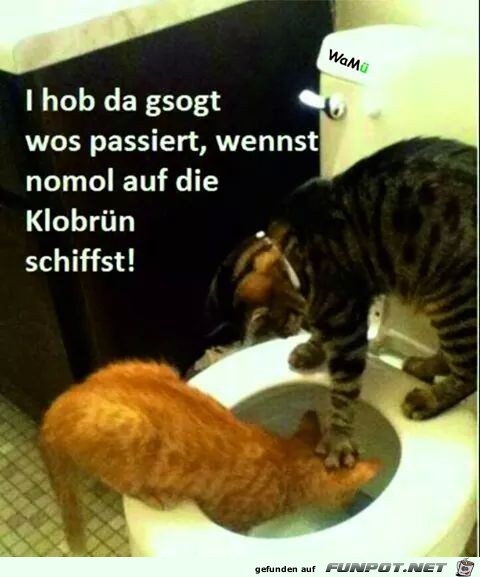 Ich hab dir gesagt was passiert wenn du noch einmal auf di Ich hab dir gesagt was passiert wenn du noch einmal auf di