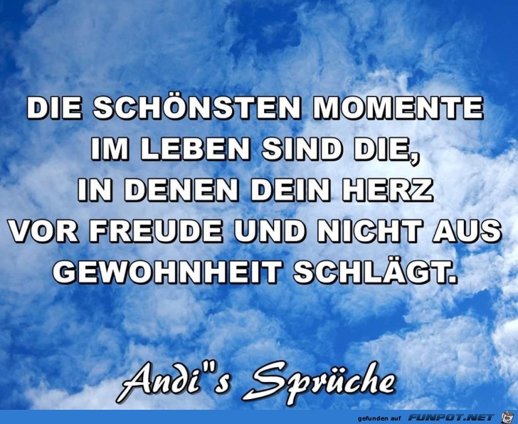 die schoensten Momente