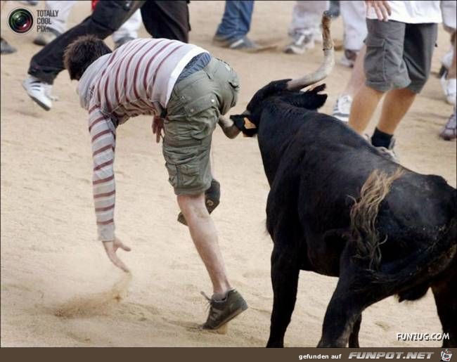 Bulls Brutal Revenge Funzug org 23 Bulls Brutal Revenge Funzug org 23