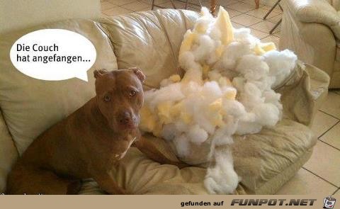 Hundeausrede Hundeausrede