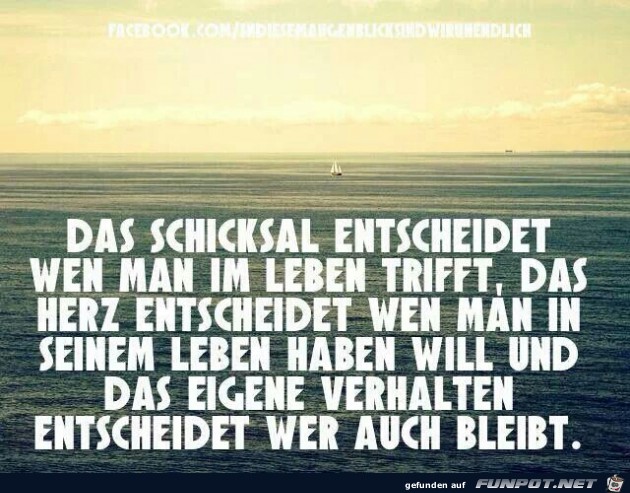 das Schicksal entscheidet... das Schicksal entscheidet...