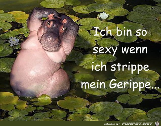 Mein Gerippe Mein Gerippe