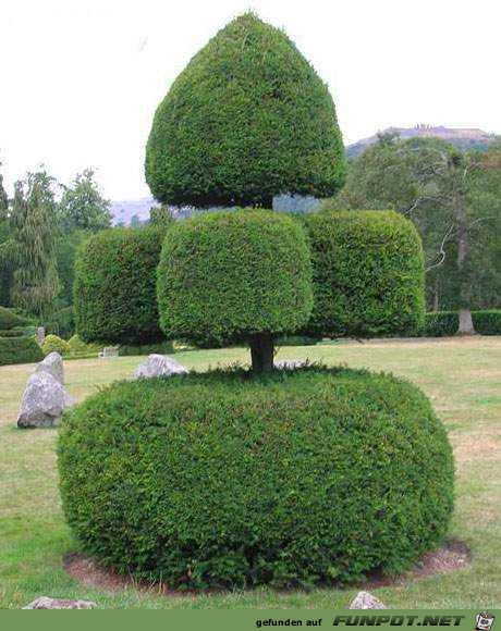 Gartenkunst - oder die Kunst mit Pflanzen umzugehen 15 Gartenkunst - oder die Kunst mit Pflanzen umzugehen 15