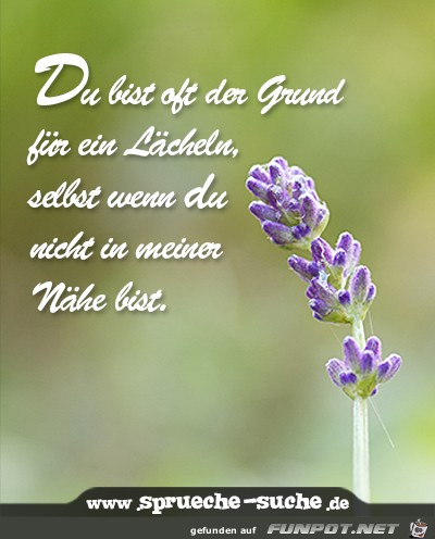 du bist oft der grund 