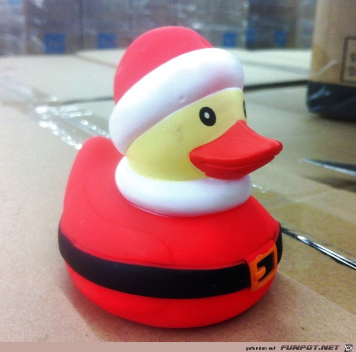 Weihnachtsente Weihnachtsente