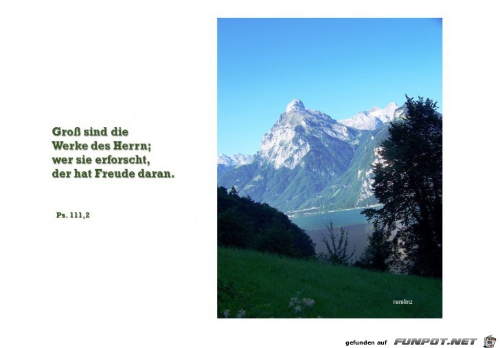 Psalm 111,2 Psalm 111,2