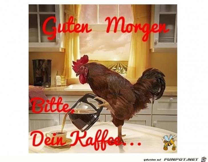 Guten Morgen