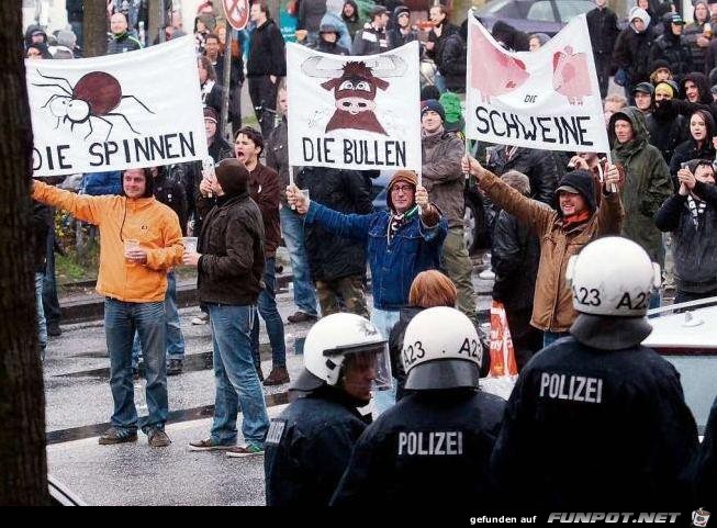 Bullenschweine Bullenschweine