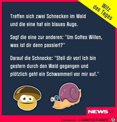 witz des Tages 3 