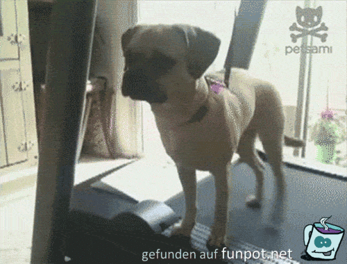 Kreuzschritt Kreuzschritt