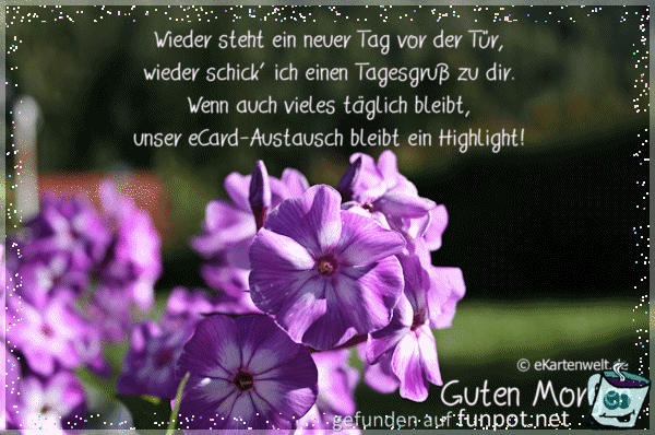 ein neuer Tag ein neuer Tag