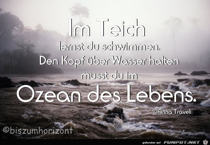 im Teich im Teich