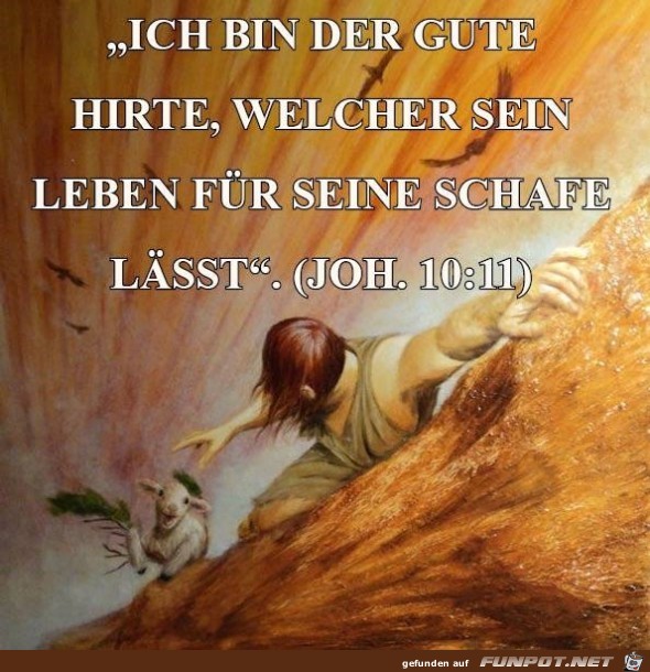 Johannes 10 11 Johannes 10 11