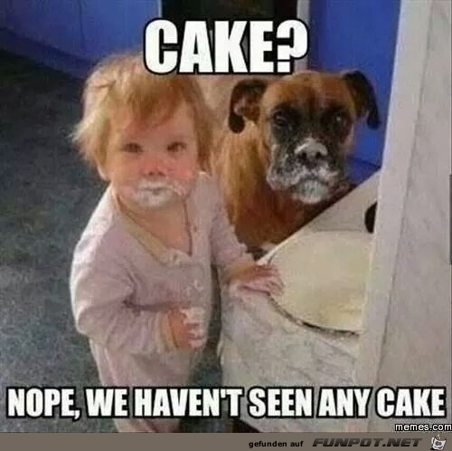Cake Cake