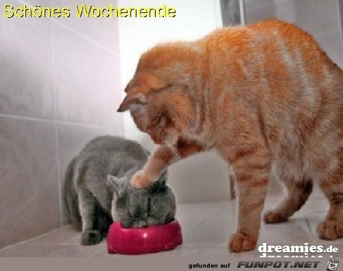 schoenes wochenende 6 schoenes wochenende 6