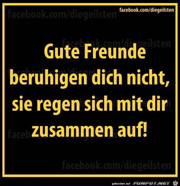 diegeilsten Freunde diegeilsten Freunde