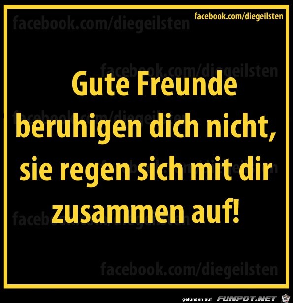 diegeilsten Freunde