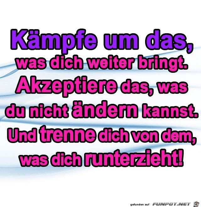 Kaeaempfe Kaeaempfe