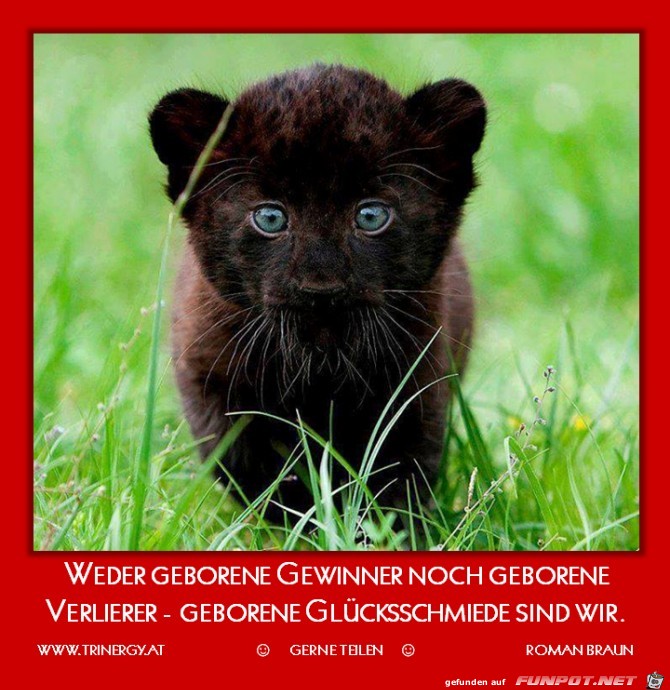 Glueckschmiede