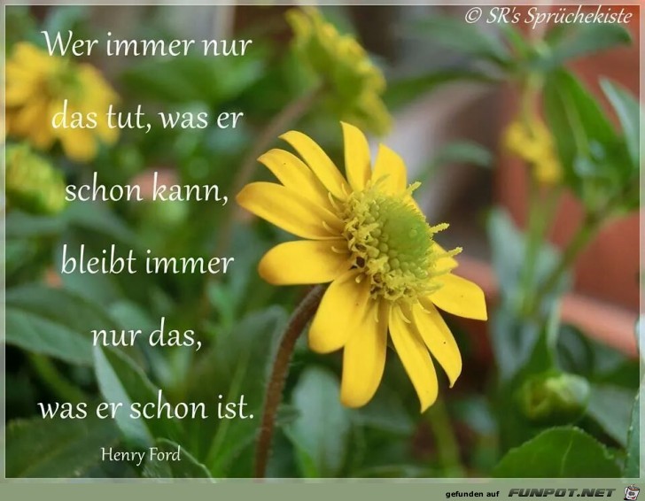 Wer immer