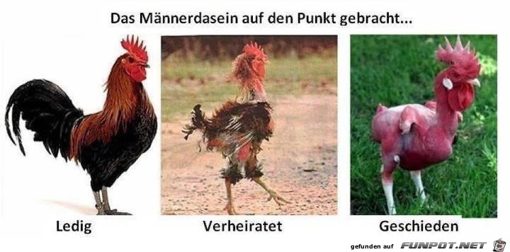 Männerdasein Männerdasein