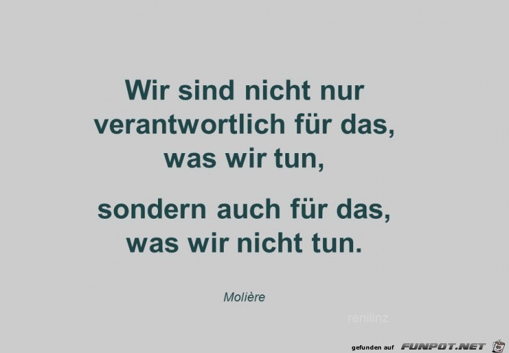 wir sind nicht nur wir sind nicht nur