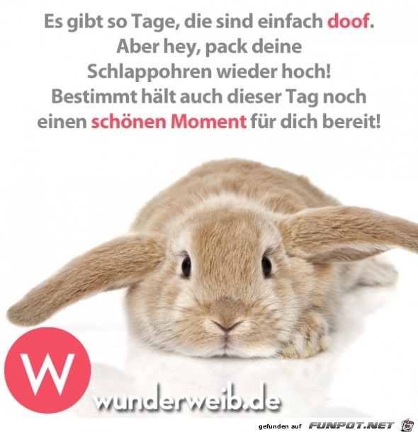 10 Schone Spruche Und Lebensweisheiten Aus