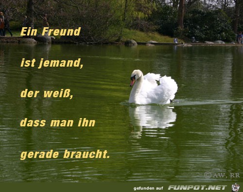 10 schne Sprche und Lebensweisheiten aus...