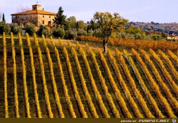 Die schoensten Wein-Gegenden der Welt 42 Die schoensten Wein-Gegenden der Welt 42
