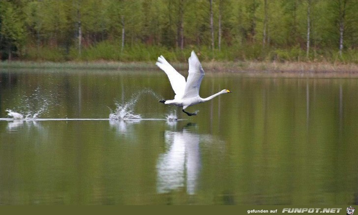 hui is des wasser kalt