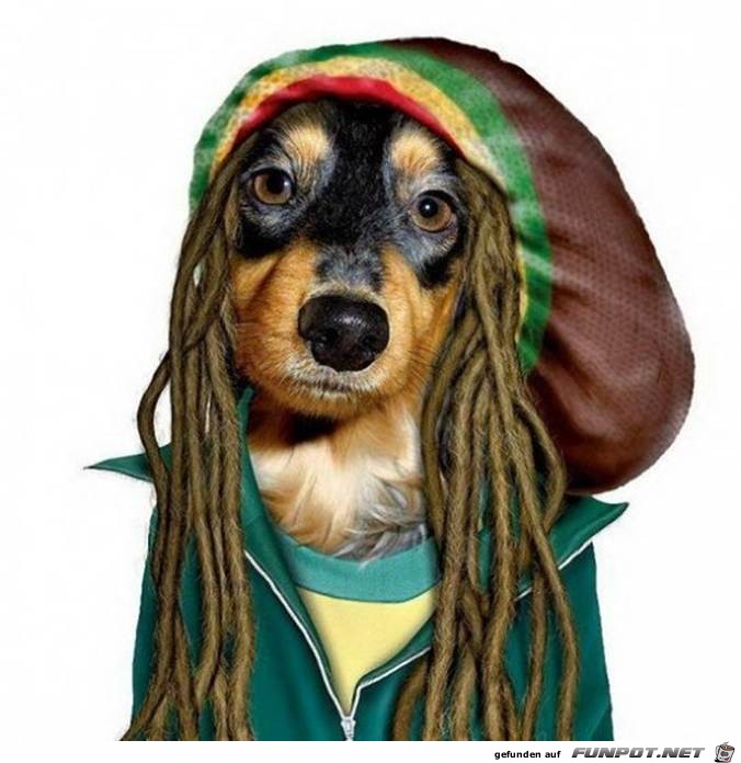 Bob Marley Bob Marley