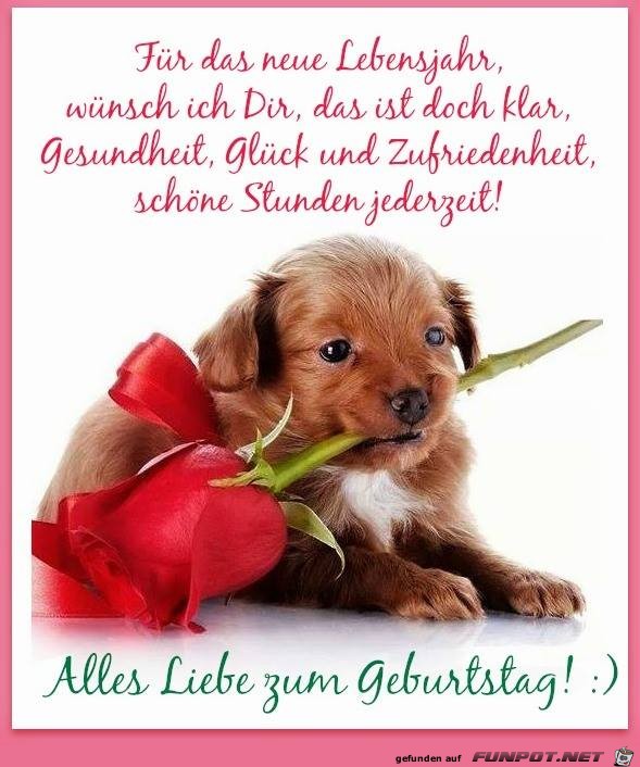 Alles Liebe zum