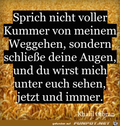 sprich nicht voller kummer