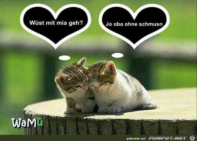 ohne schmusen