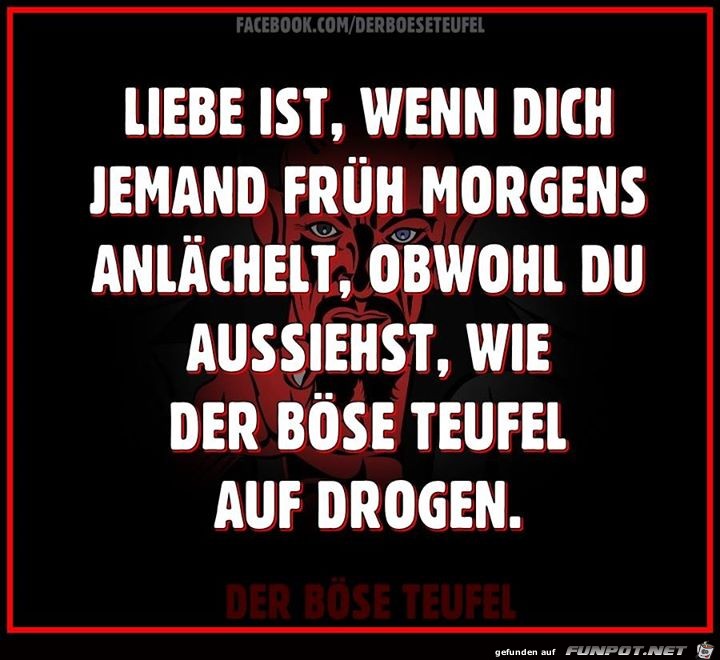 Liebe ist Liebe ist