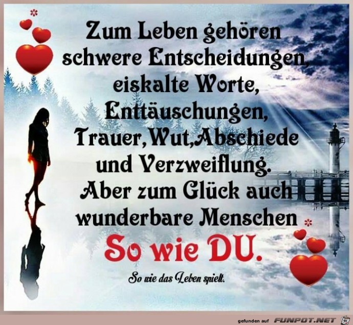 Zum Leben gehoeren Zum Leben gehoeren